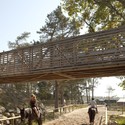 Le Grand Parquet / Joly&Loiret - Sports Architecture, Fence, Forest