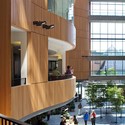 The Atrium / D'Ambrosio Architecture & Urbanism - Offices