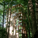 L'observatoire / CLP Architects - Forest