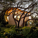 Casey Key Guest House / Sweet Sparkman Architects - Forest, Garden