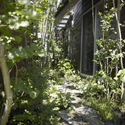 House of Setagaya / SKAL + OUVI - Houses, Garden, Forest