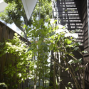 House of Setagaya / SKAL + OUVI - Houses, Garden, Facade, Forest
