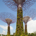 Gardens by the Bay / Grant Associates - Image 2 of 28