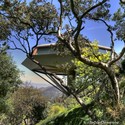 AD Classics: Malin "Chemosphere" Residence / John Lautner - Forest