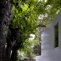 Treehouse Riga / Appleton & Domingos - Image 4 of 7