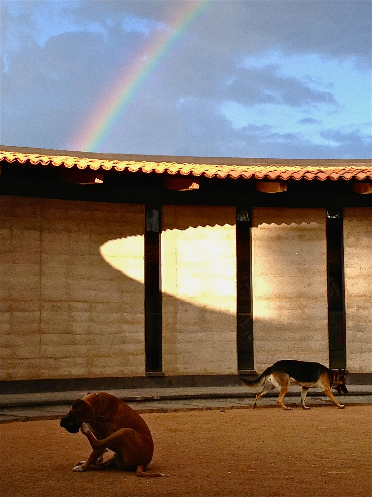 Gallery of Studio House Sabinos / Juan Carlos Loyo Arquitectura 17