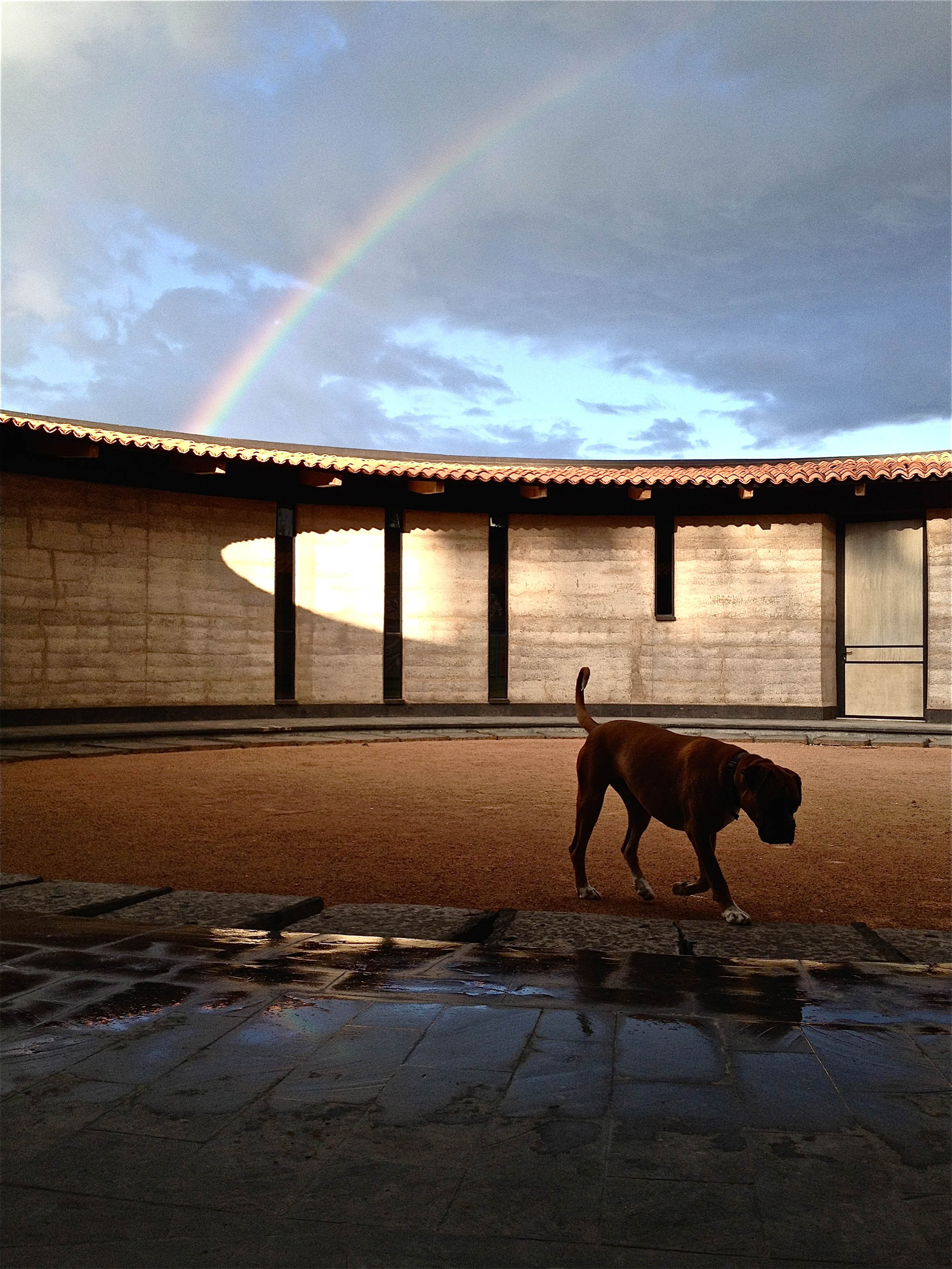Gallery of Studio House Sabinos / Juan Carlos Loyo Arquitectura 18