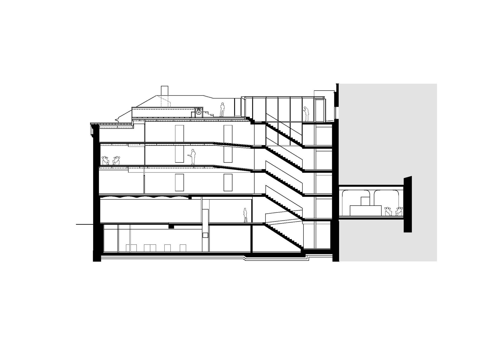 Longitudinal Section