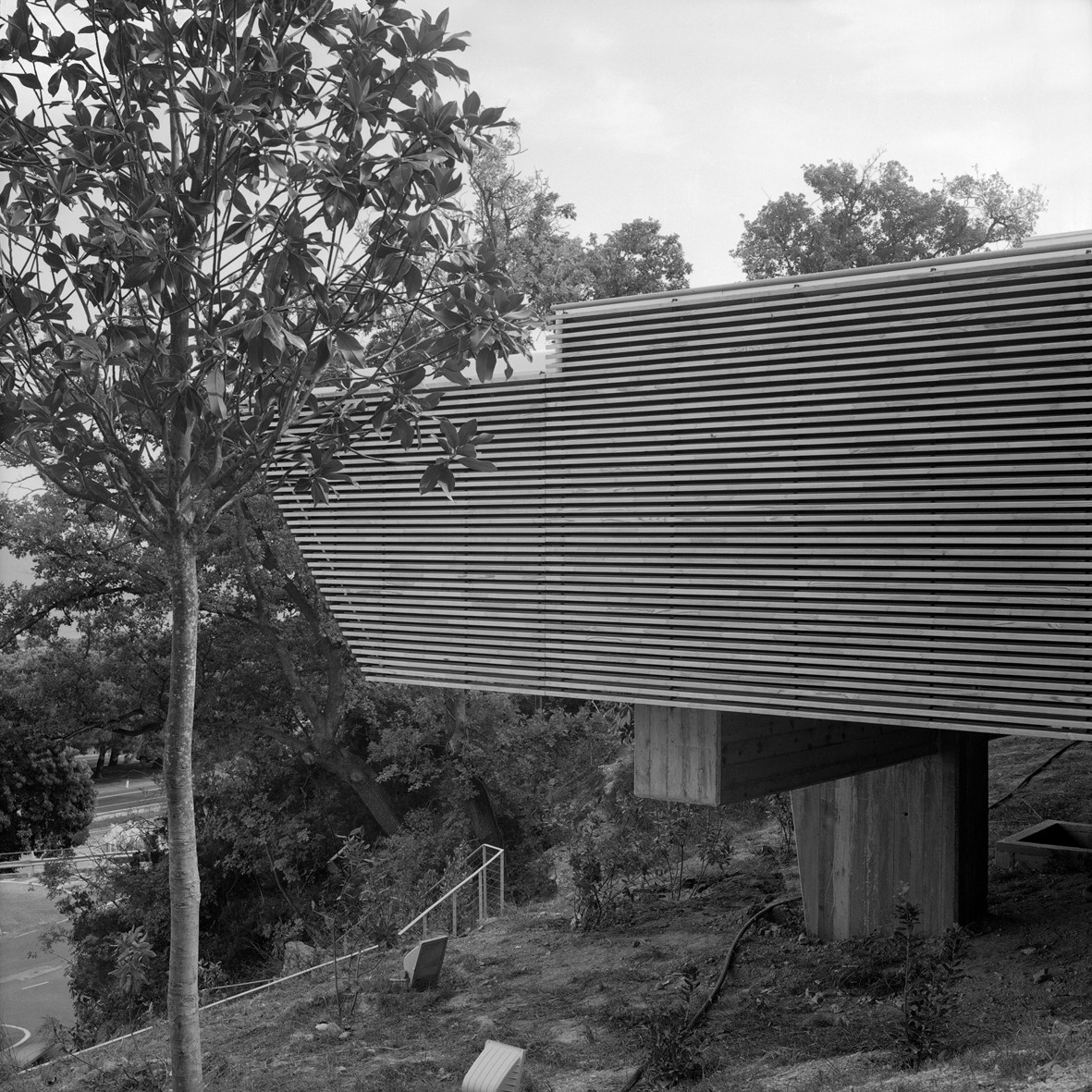 Courtesy of Ariu + Vallino Architects