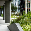 NEO Bankside / Rogers Stirk Harbour + Partners - Garden