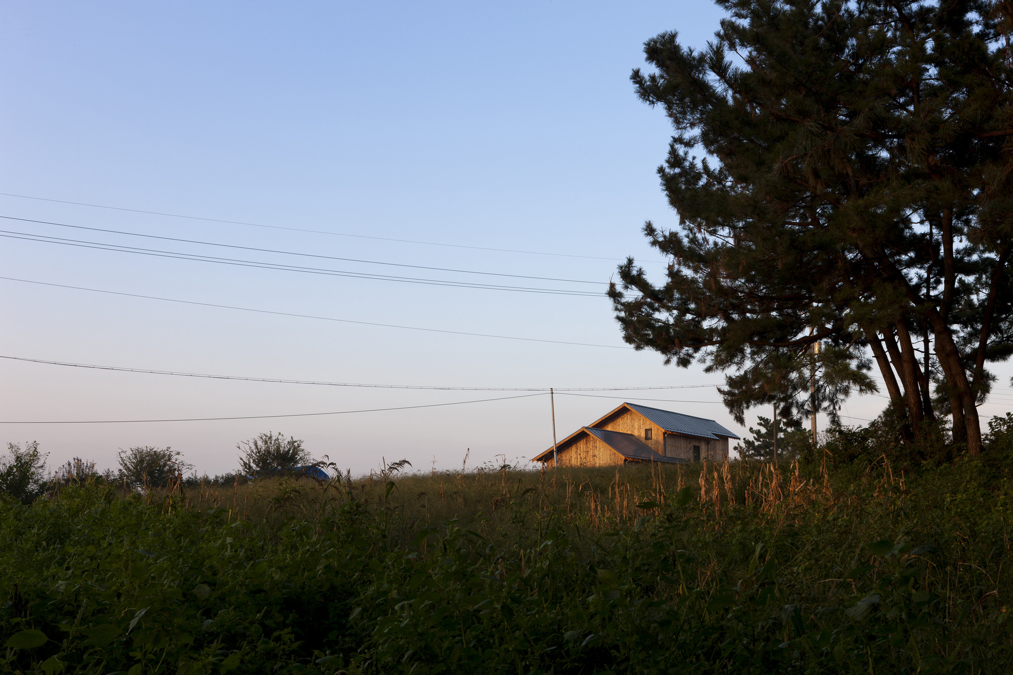 Galería de Casa de Enero / Studio-Gaon - 12