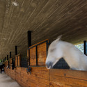 Hípico del Bosque / APT Arquitectura Para Todos - Ventanas