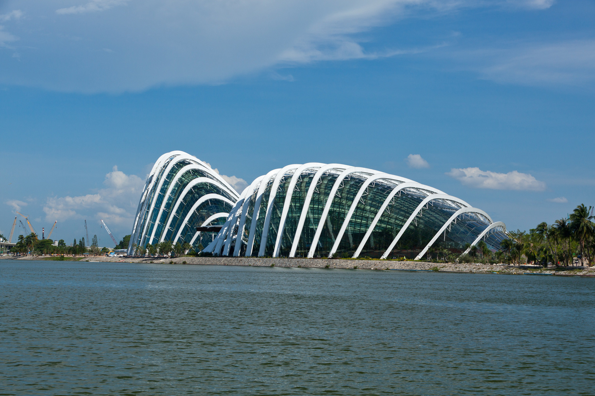 Gallery of Cooled Conservatories at Gardens by the Bay / Wilkinson Eyre