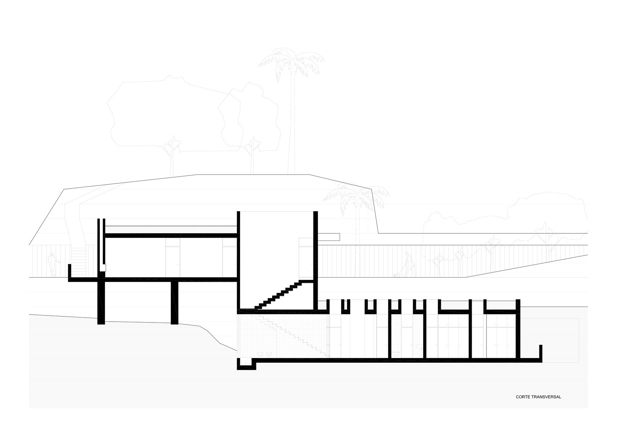 section