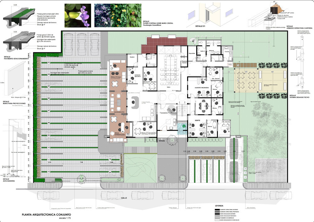 planta