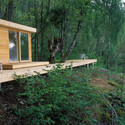 Hardanger Retreat / Todd Saunders & Tommie Wilhelmsen Arkitektur - Bosque