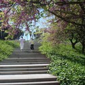 Paseo de "Els Cims" de Montjuïc, Barcelona / Forgas Arquitectes - Transporte, Jardín, Escaleras