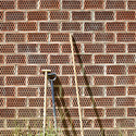 © Adria Goula Casa 712 / H Arquitectes - Casas, Jardín, Fachada, Cierros