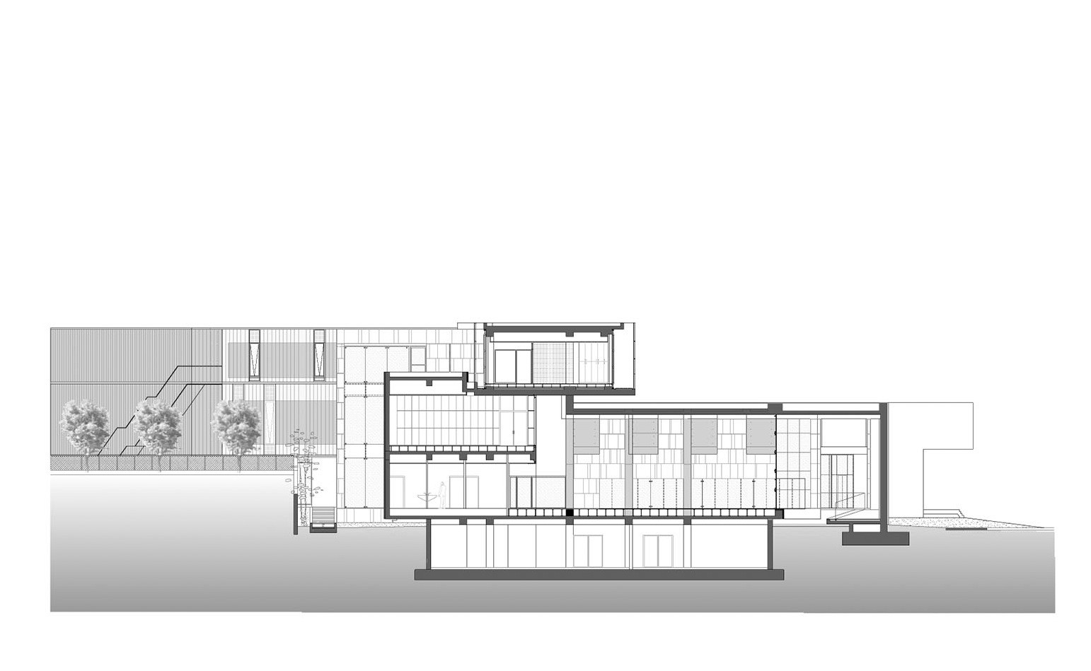 Section