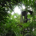 Centro de visitantes, selva de Panamá / ENSITU - Instalaciones Y Estructuras, Bosque