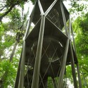 Centro de visitantes, selva de Panamá / ENSITU - Instalaciones Y Estructuras, Bosque