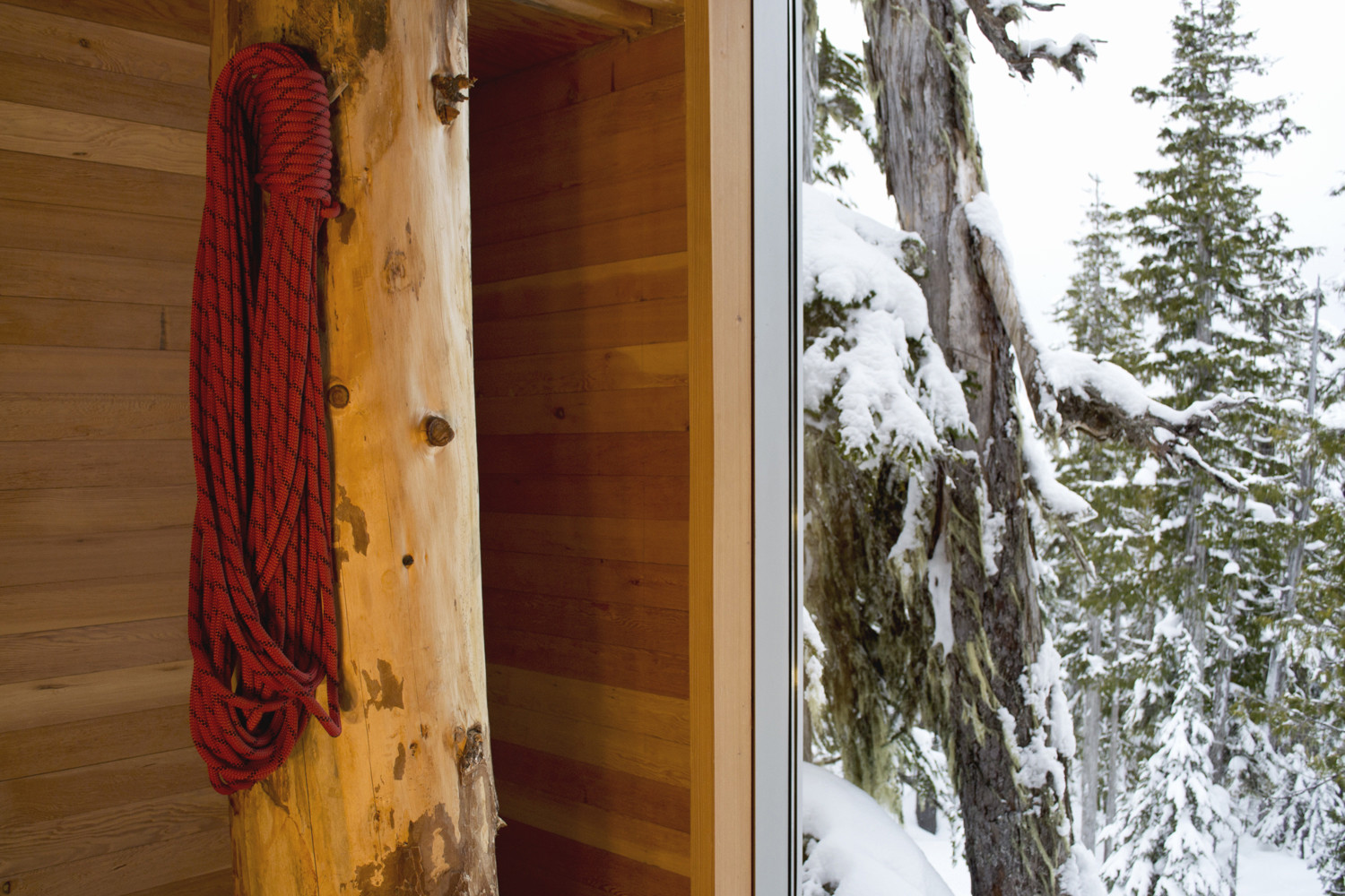 Alpine Cabin / Scott & Scott Architects - Imagen 6 de 17