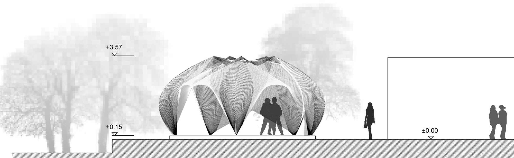Elevation