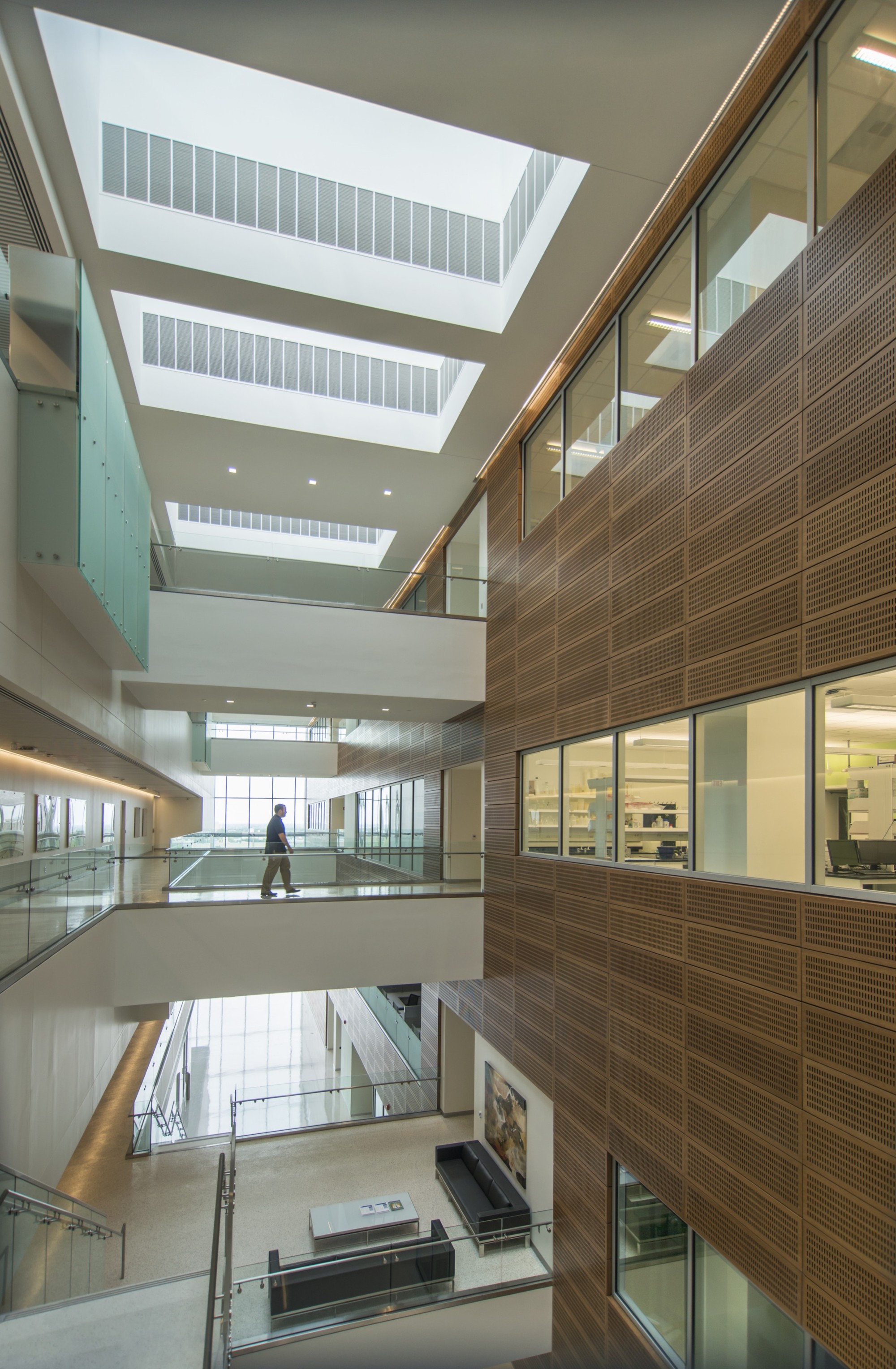 Gallery of Kaleida Health Gates Vascular Institute / Cannon Design 10