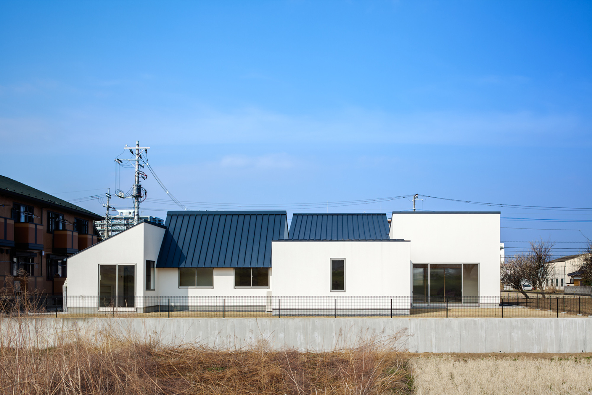 © Ippei Shinzawa