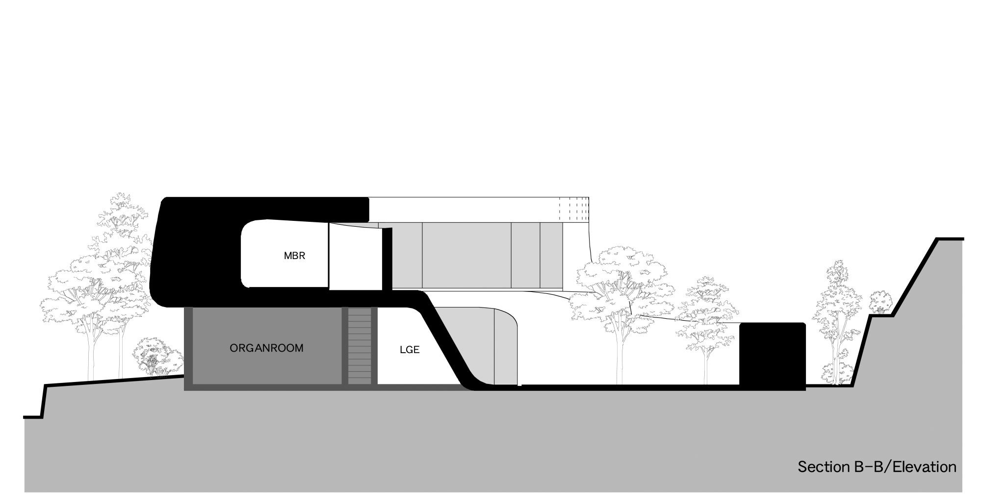 Section