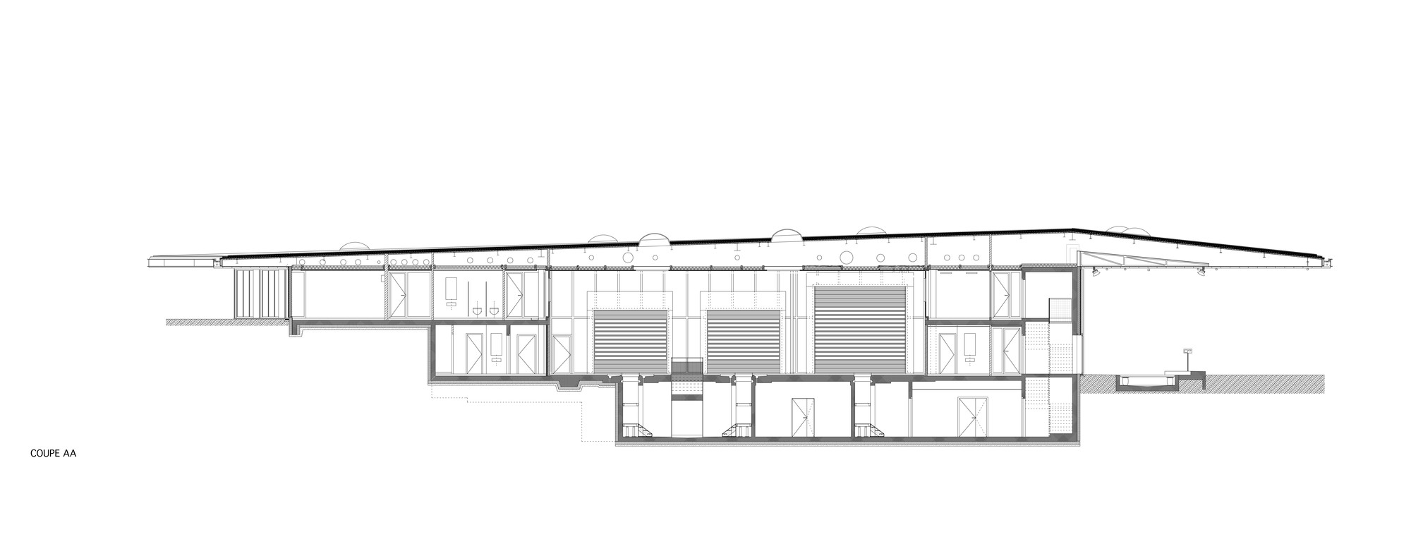 Section