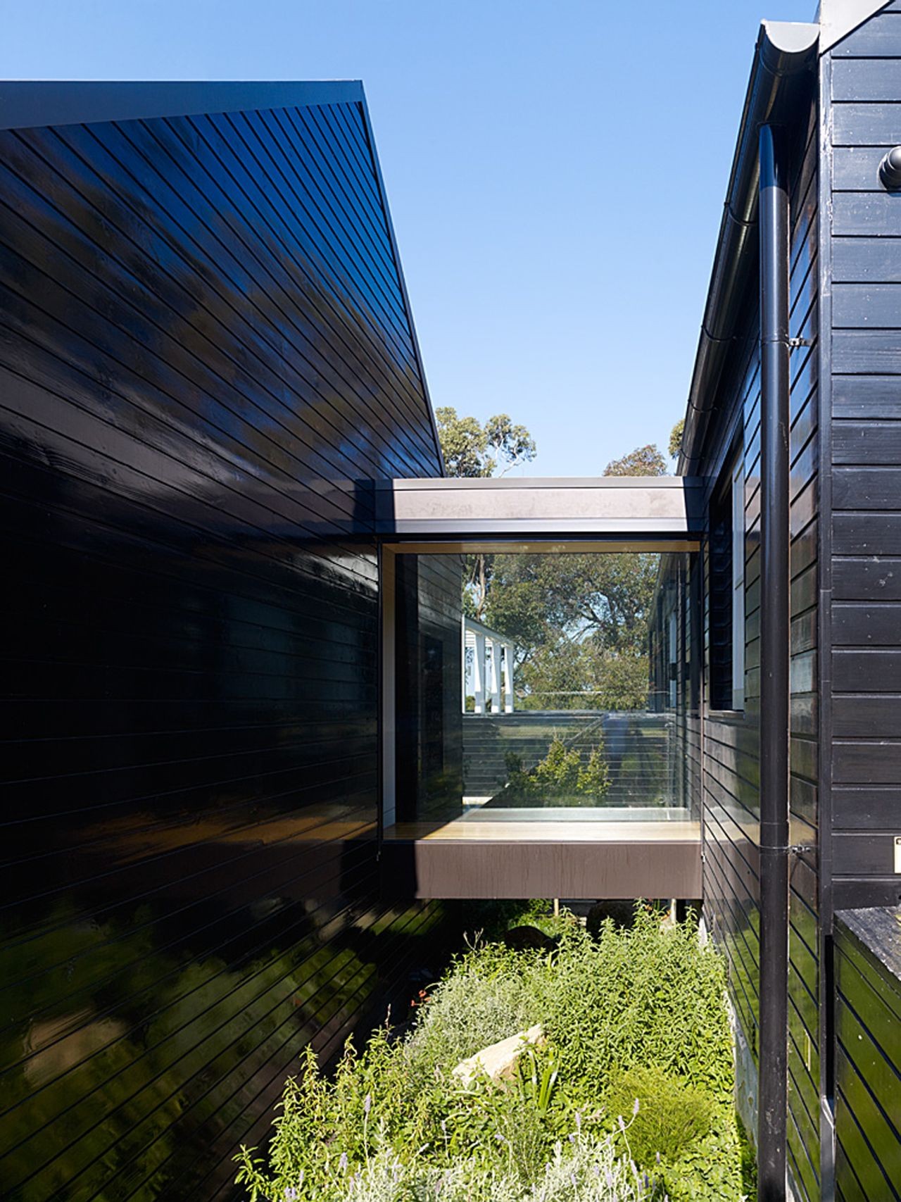 космос на фасадах. E2k архитектура. E architects. хоптаун улицы архитектура. Ucla дерево.