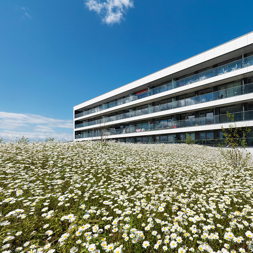 Courtesy of ZZDP Architecten