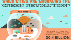 Infographic: Which Cities Are Embracing the Green Revolution 
