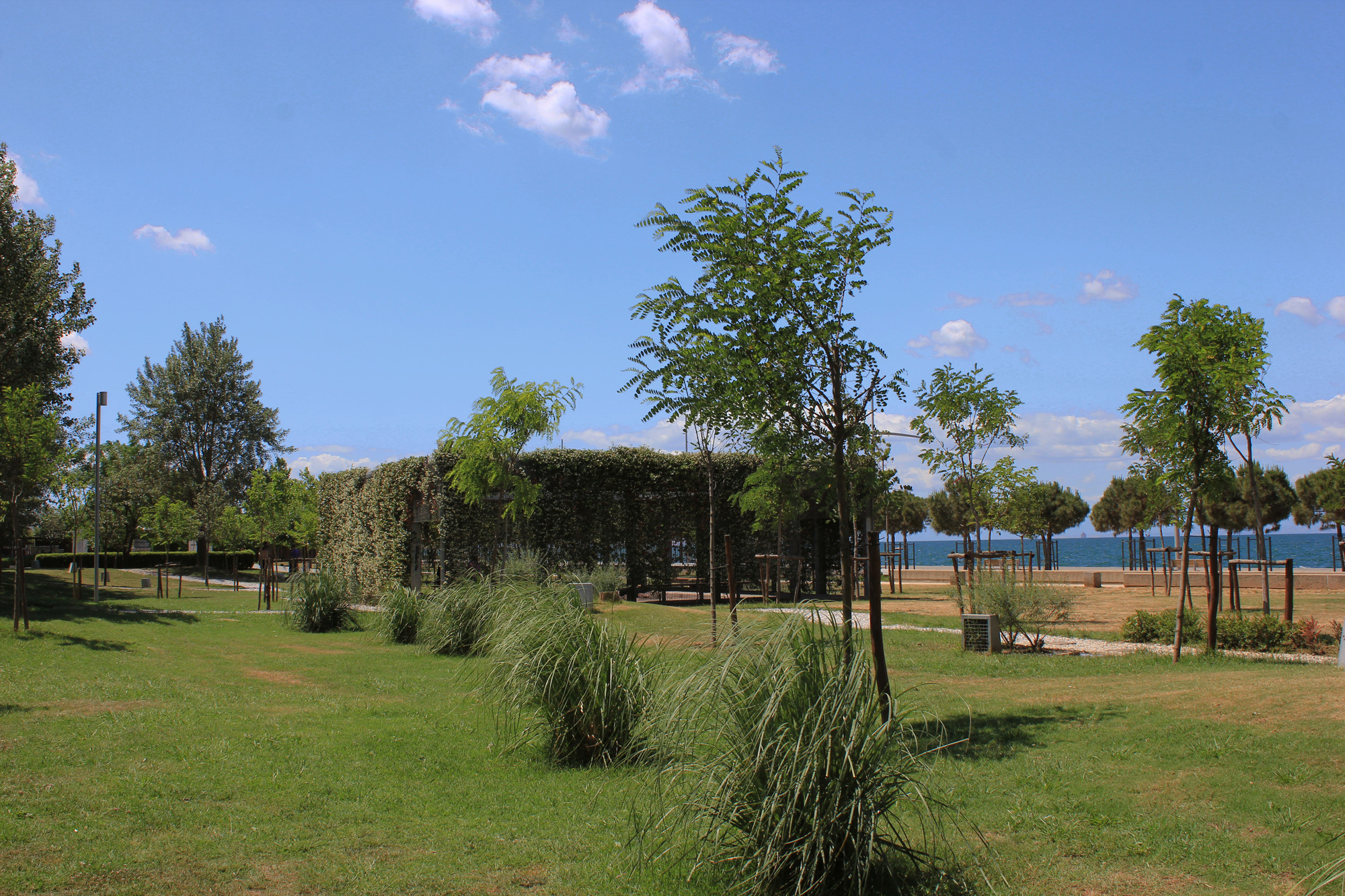 Gallery of Redevelopment of the New Coast of Thessaloniki / Prodromos