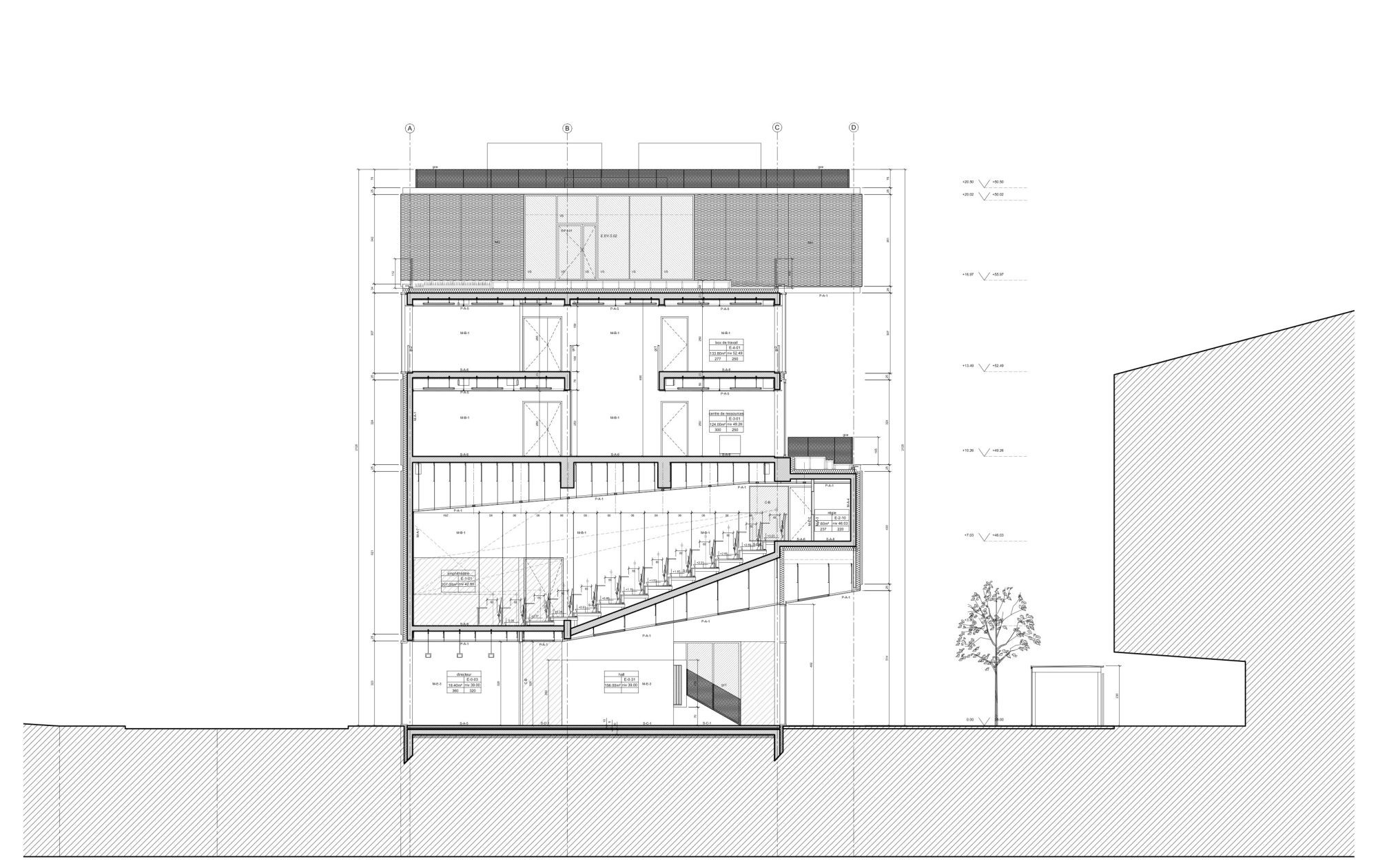 Section