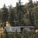 Elements Residence / William Kaven Architecture - Windows, Forest