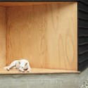 Wood and the Dog / StudioErrante Architetture - Refurbishment, Stairs, Door, Facade
