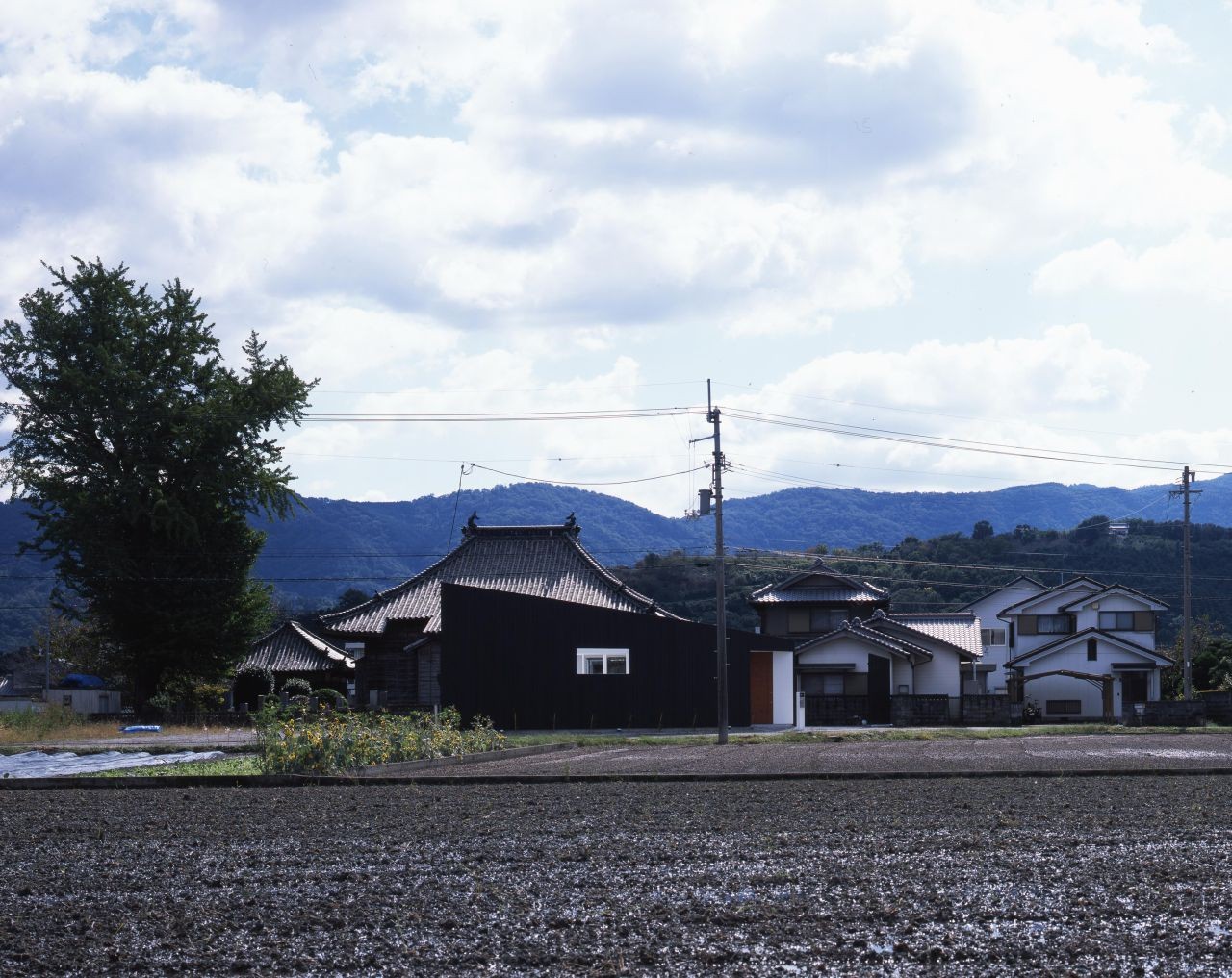 © Kaori Ichikawa