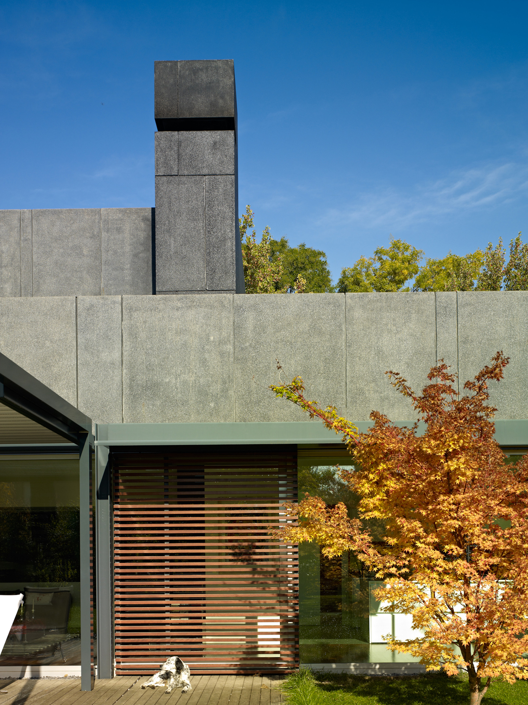 Gallery of DC House / Geza 6