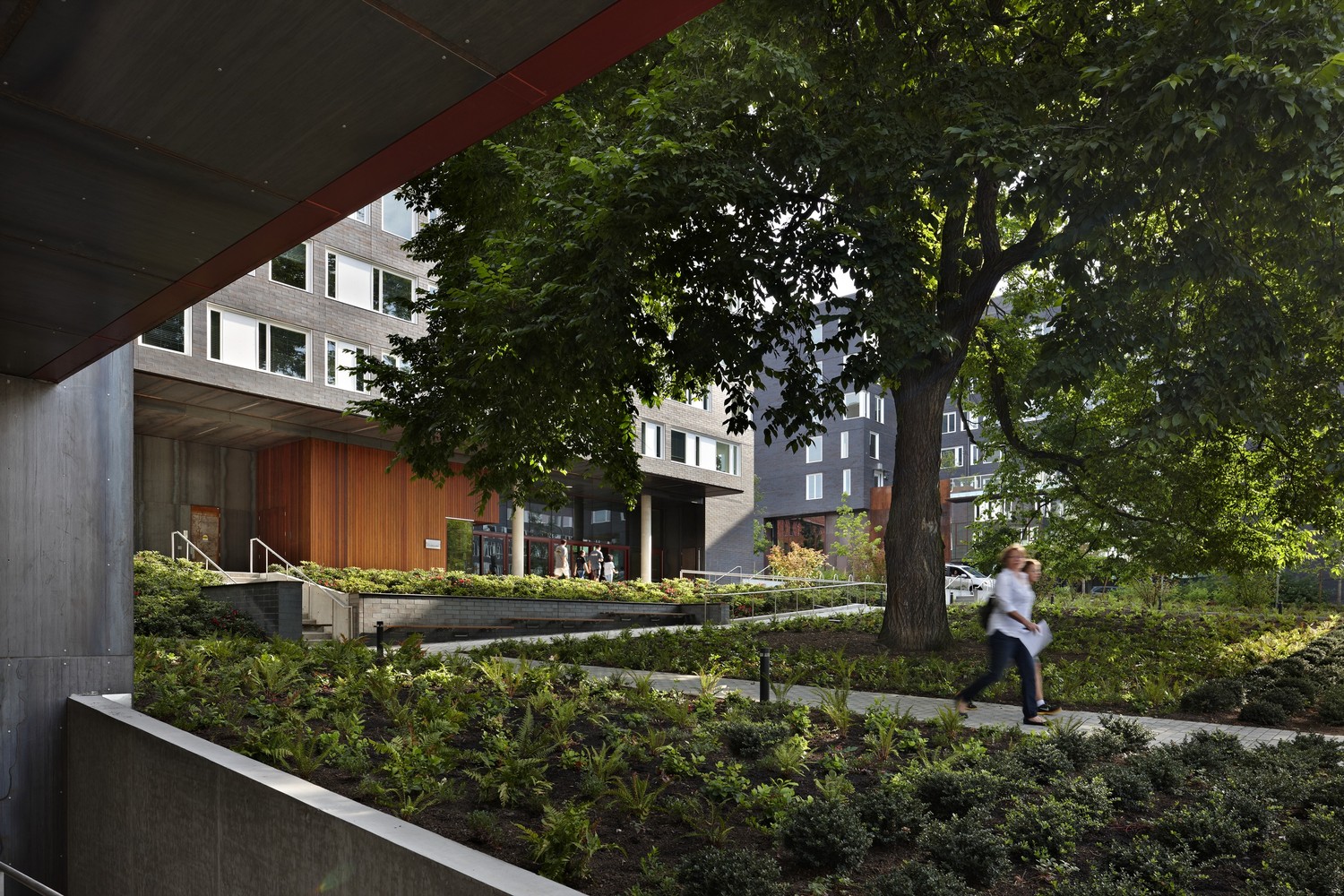 Gallery of West Campus Student Housing / Mahlum 11