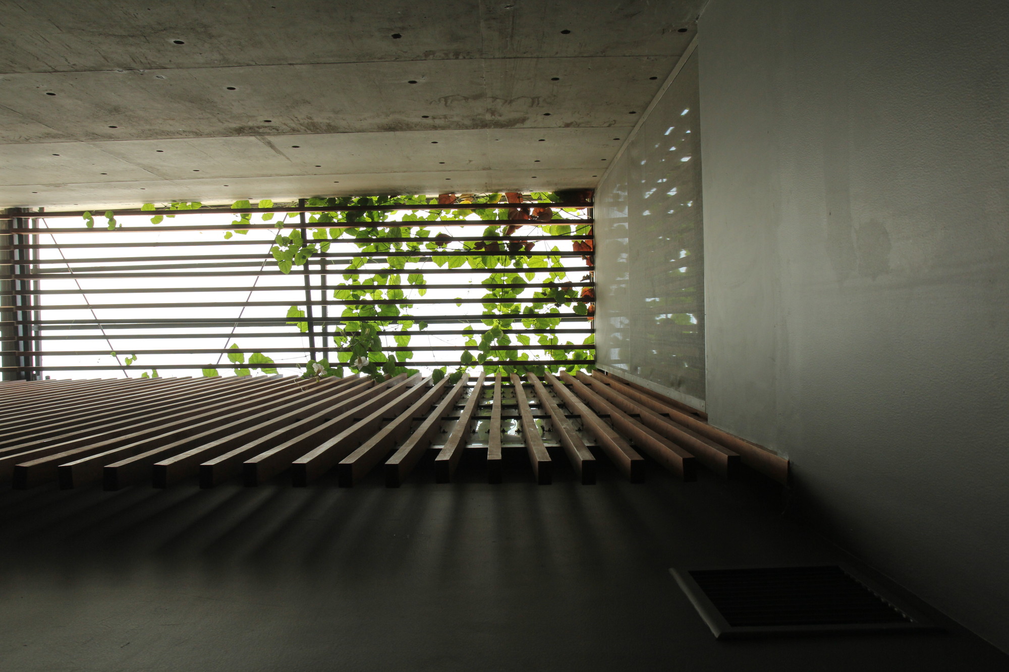 Gallery of Light+Light House / Studio TonTon 13