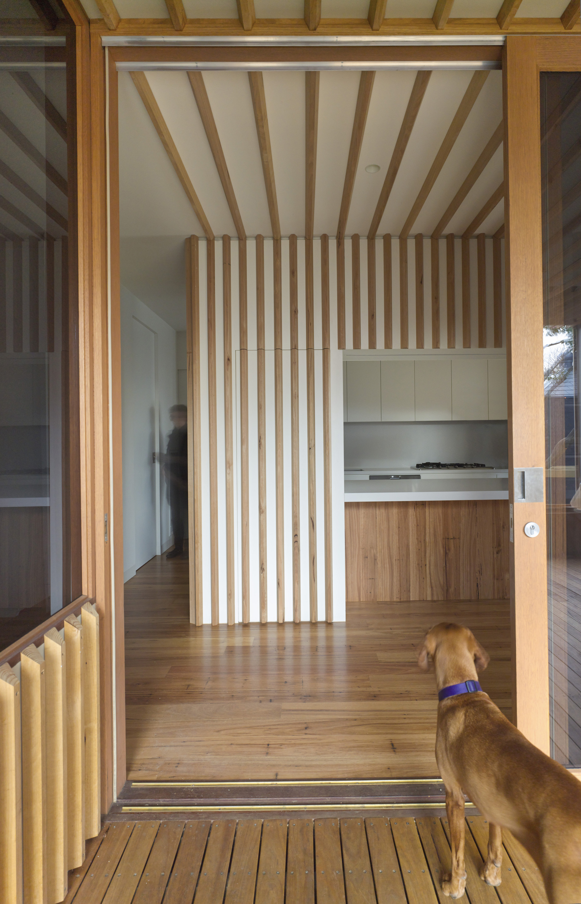 Galería de Casa en Brighton / FMD Architects - 17