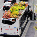 Jardins itinerantes - áreas verdes nos tetos dos ônibus na Espanha - Image 2 of 4
