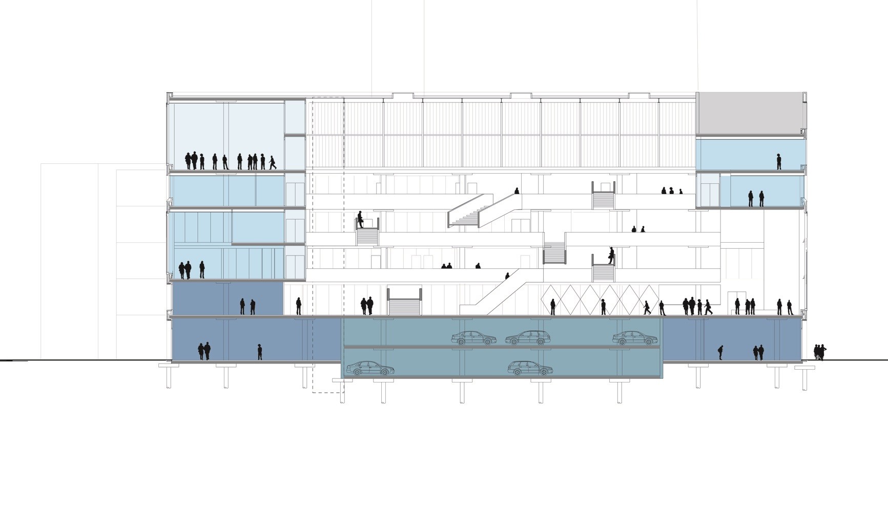 Section