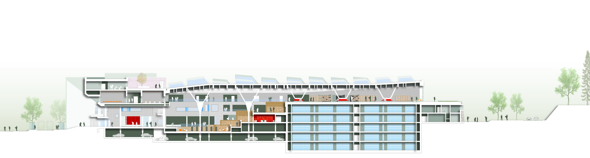 Longitudinal section. Image Courtesy of BOLLES + WILSON