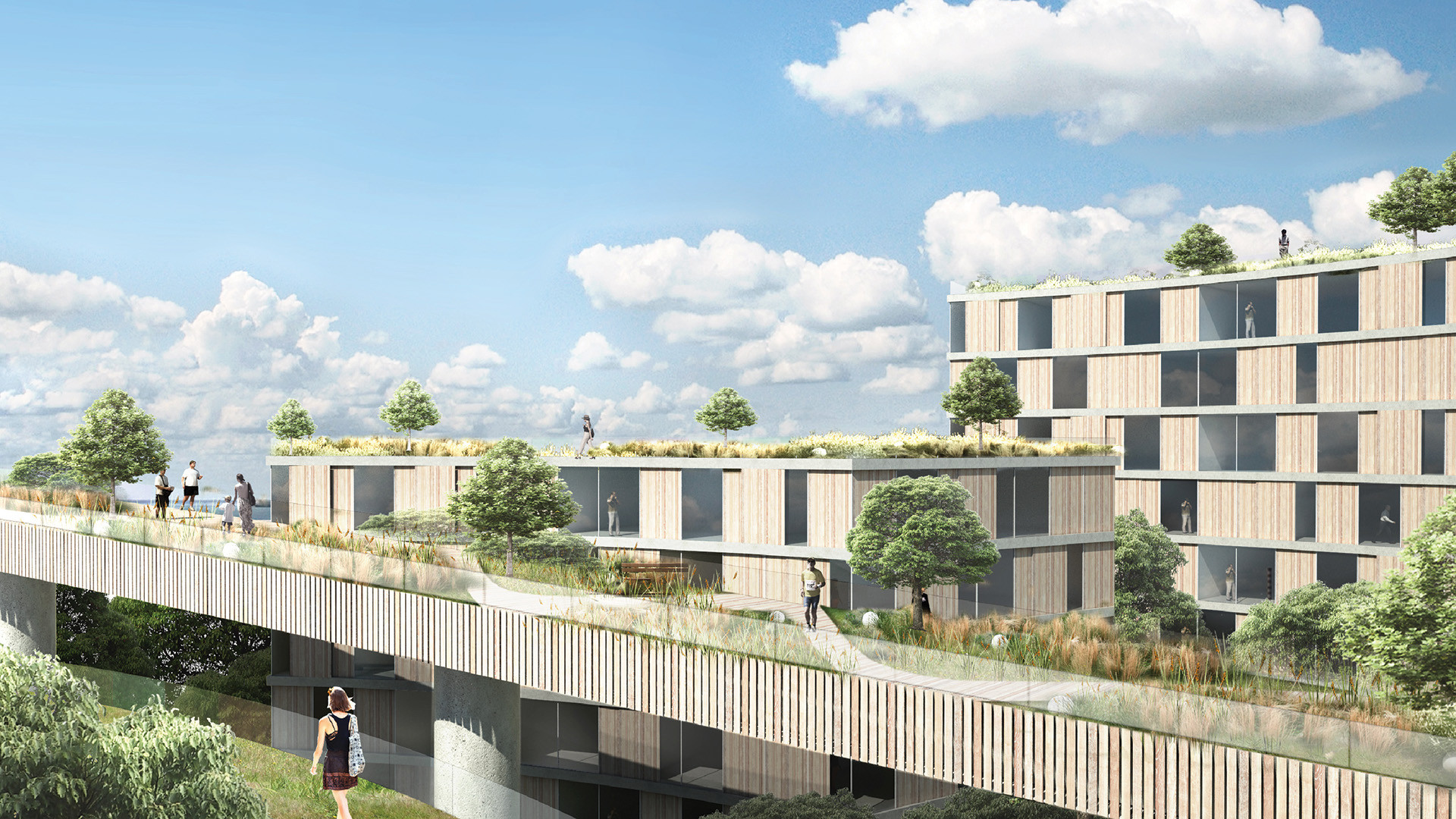 Gallery of Winners Proposals Suggest Alternatives for San Francisco's ...