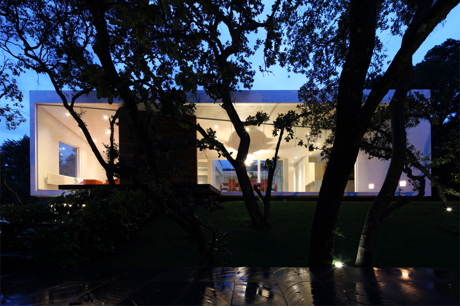 Gallery of Aurelia House / Hernández de la Garza 11