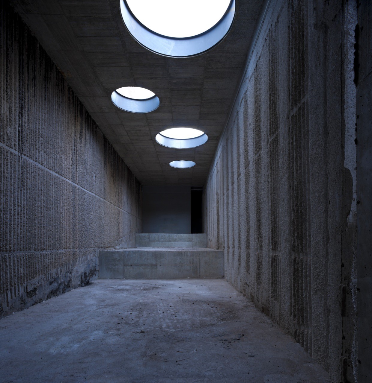 © Ángel Baltanás