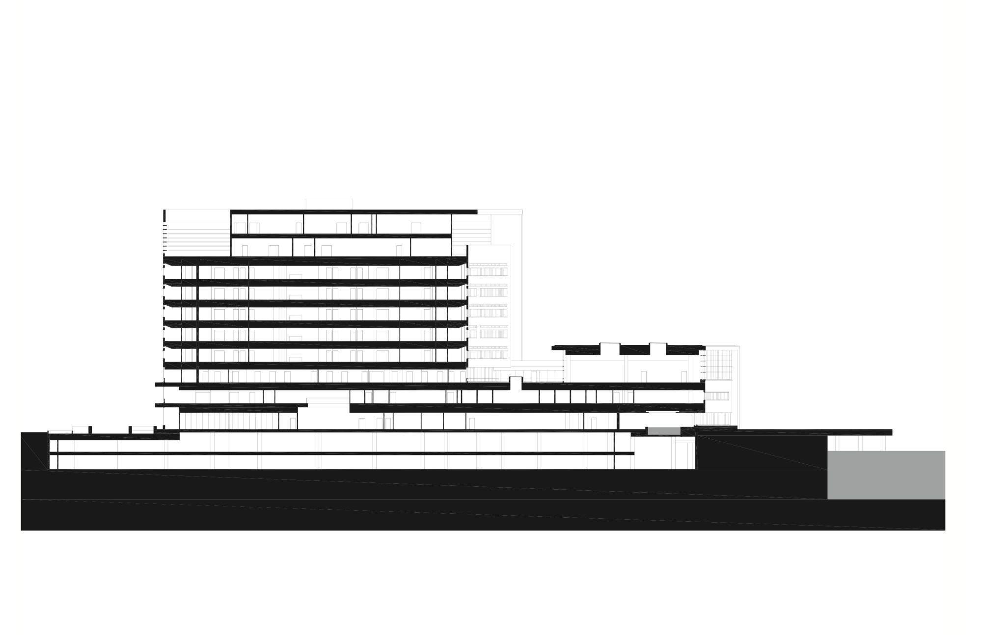 Section